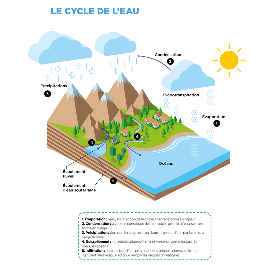 Le Cycle De L Eau C Est Pas Sorcier Le cycle de l'eau | Société Publique de la Gestion de l'Eau