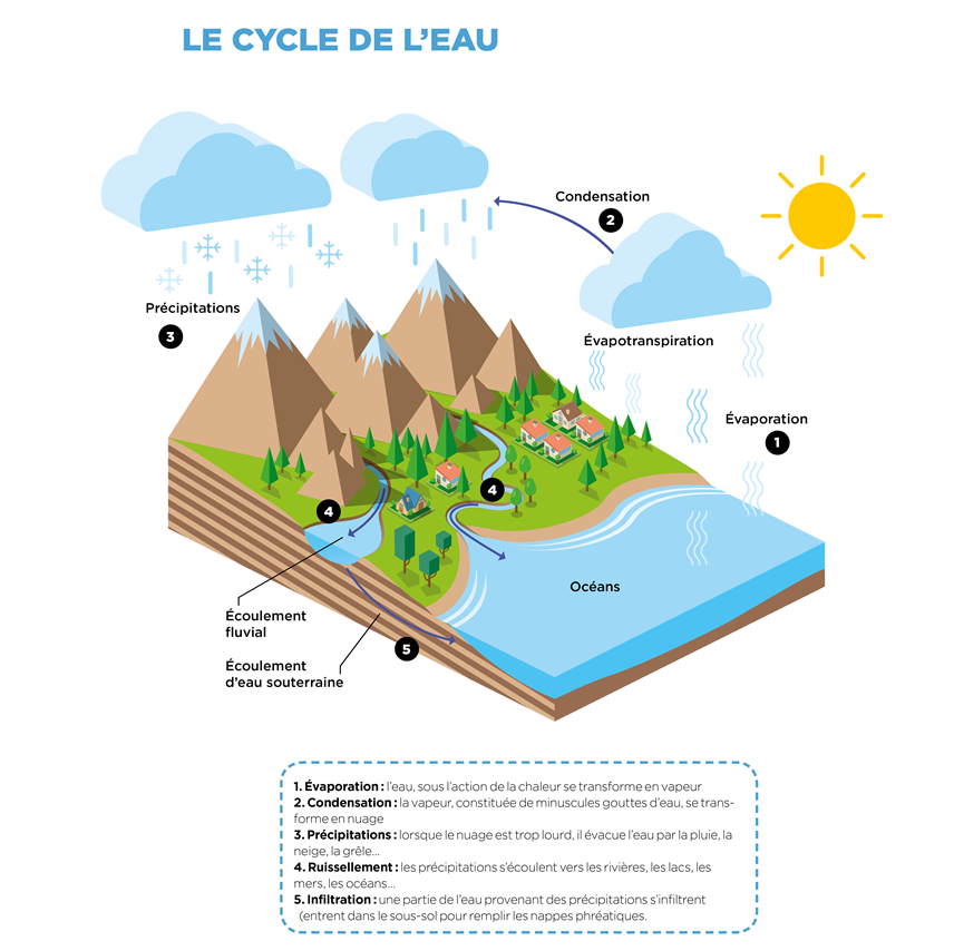 ?cycle de l'eau?