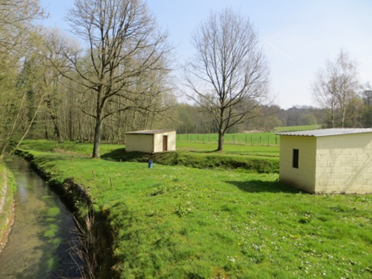 image8269828998746489717.png image8269828998746489717.png